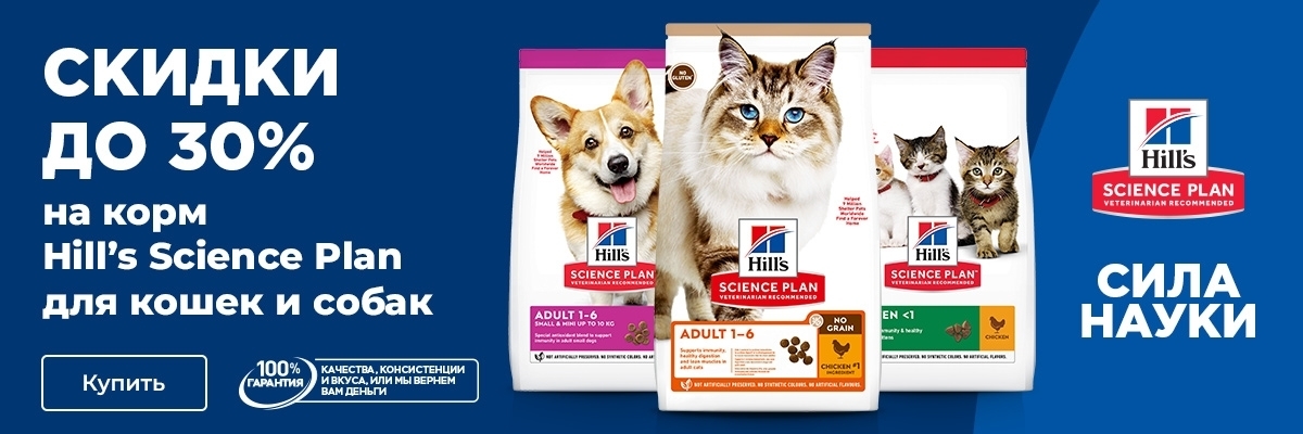 Hill's Science Plan скидки до 30% на корма для кошек и собак (январь 2023)