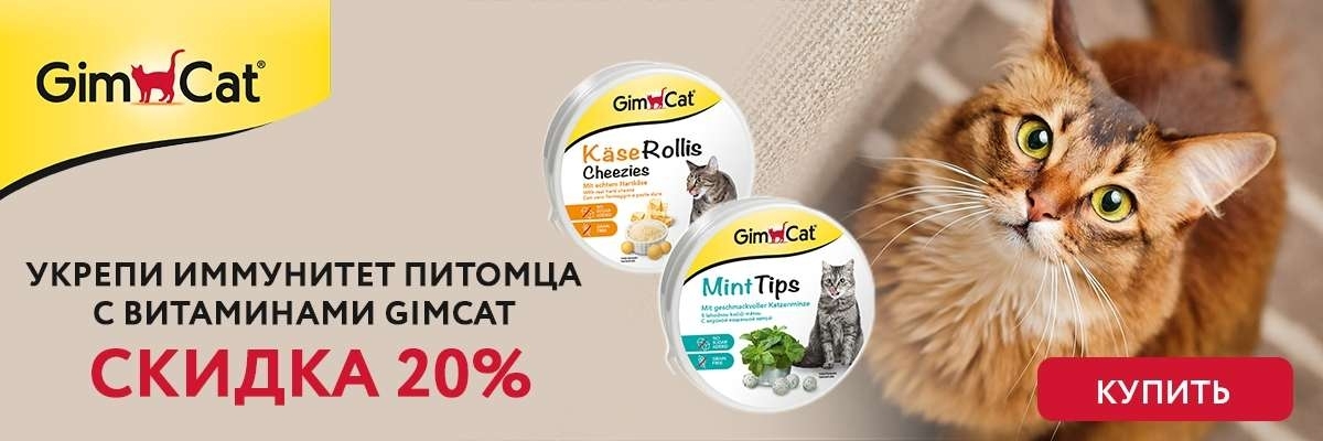 GIMCAT скидка 20% на витамины для кошек 200г (23-30.11.2021)