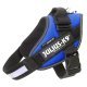 JULIUS-K9 шлейка для собак IDC®-Powerharness Mini-Mini (40-53см/ 4-7кг)