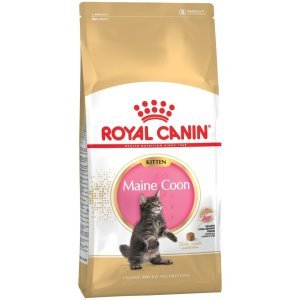 Royal Canin для котят мейн-кун (4-15 мес.), Kitten Мaine Coon