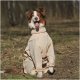 OSSO Пыльник-комбинезоны для собак с ловушками от клещей на мальчиков