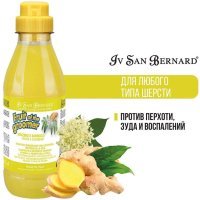IV SAN BERNARD Fruit of the Grommer Ginger&Elderbery Шампунь для любого типа шерсти против раздражений и перхоти