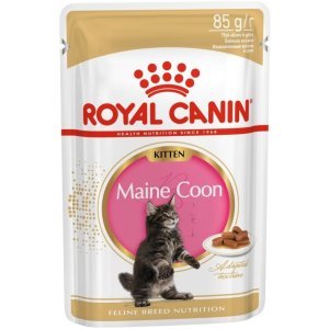 Royal Canin Мaine Coon Kitten кусочки в соусе для котят мейн-кун (4-15 мес.), 85г