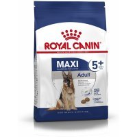 Royal Canin для пожилых собак крупных пород 5-8 лет, Maxi Adult 5+
