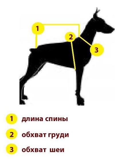 Описание как правильно снять мерки с собаки и таблицы размеров.